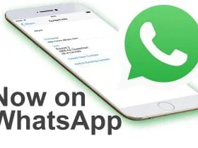 Albyco now on WhatsApp!